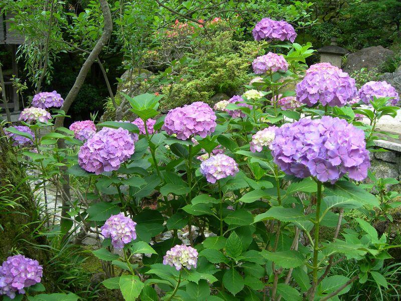 Atami Taikansou Екстериор снимка