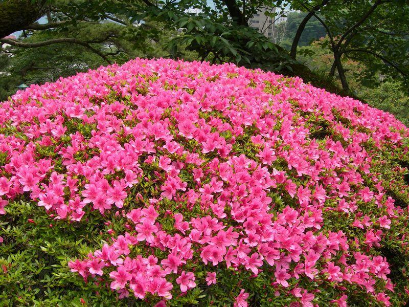 Atami Taikansou Екстериор снимка
